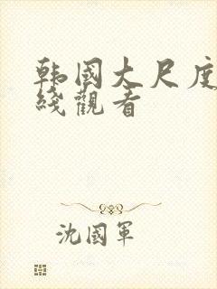 韩国大尺度片在线观看