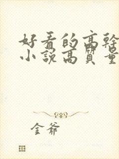 好看的高干言情小说高质量文笔好