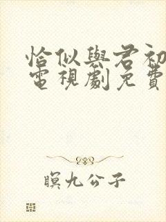 恰似与君初相识电视剧免费观看