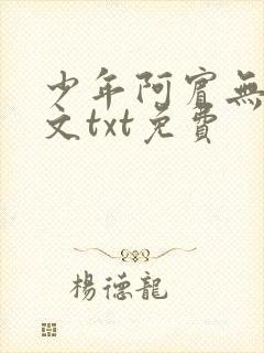 少年阿宾无删全文txt免费