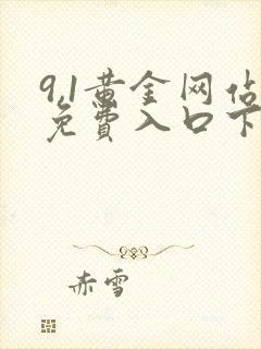 9,1黄金网站免费入口下载