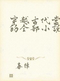 穿越古代当赘婿的全部小说