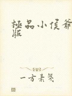 极品小侯爷小说版