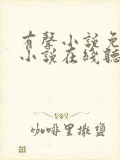 有声小说免费听小说在线听