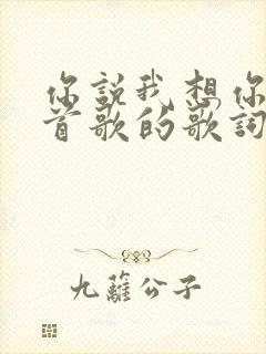 你说我想你是哪首歌的歌词