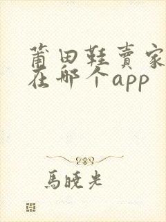 莆田鞋卖家一般在哪个app