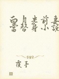 白月光前妻将我当替身小说