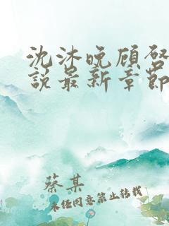 沈沐晚顾启珩小说最新章节免费阅读