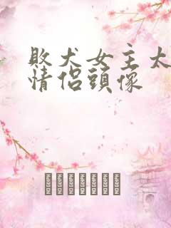 败犬女主太多了情侣头像