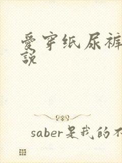 爱穿纸尿裤的小说