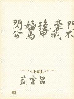 闪婚后,豪门老公马甲藏不住第三部