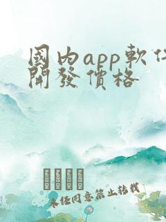 国内app软件开发价格