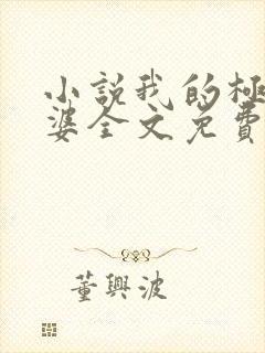 小说我的极品老婆全文免费阅读