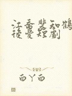 江乔裴知鹤先婚后爱短剧