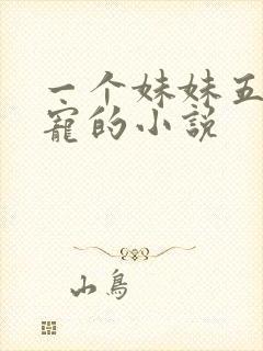 一个妹妹五个哥宠的小说