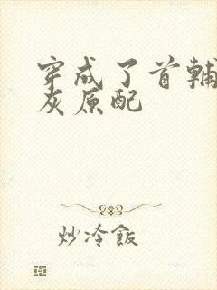 穿成了首辅的炮灰原配