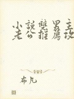 小说双男主虐文老公推荐攻略同人文