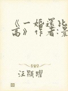 《一婚还比一婚高》作者:晨雾的光