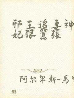 邪王追妻神医狂妃狠嚣张