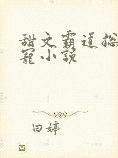 甜文霸道总裁甜宠小说