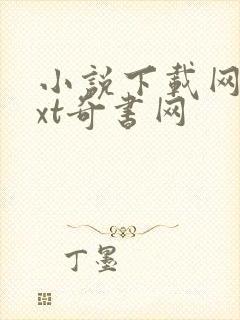 小说下载网站txt奇书网