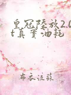 皇冠陆放2.0t真实油耗