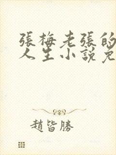 张梅老张的风流人生小说免费阅读