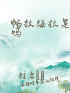 帕拉梅拉是轿车吗