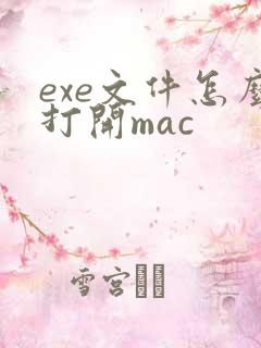exe文件怎么打开mac