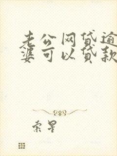 老公网贷逾期老婆可以贷款买车吗