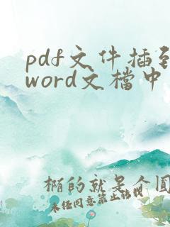 pdf文件插到word文档中