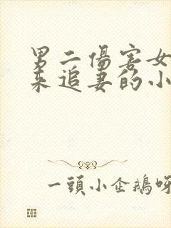 男二伤害女二后来追妻的小说