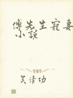 傅先生宠妻无度 小说