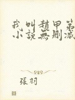 我叫赵甲第原著小说无删减