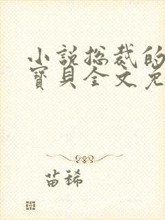 小说总裁的私有宝贝全文免费阅读