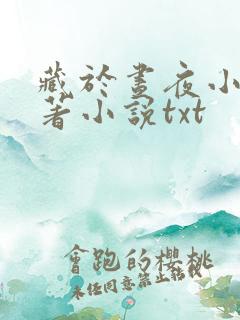 藏于昼夜小说原著小说txt