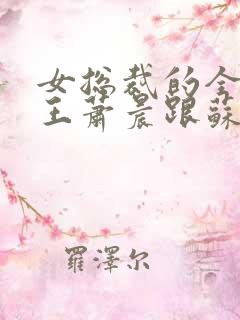 女总裁的全能兵王萧晨跟苏晴