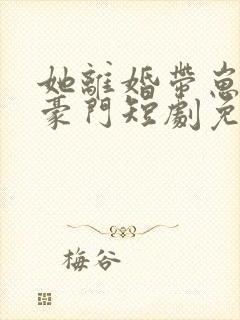 她离婚带崽嫁入豪门短剧免费观看