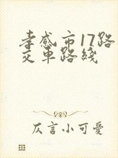 孝感市17路公交车路线