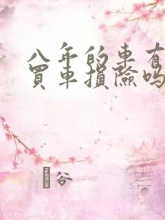 八年的车有必要买车损险吗