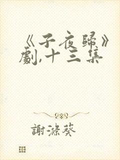 《子夜归》电视剧,十三集