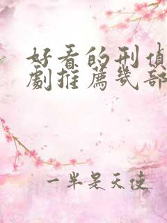 好看的刑侦电视剧推荐几部 前十名