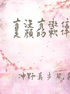 有没有微信视频美颜的软件