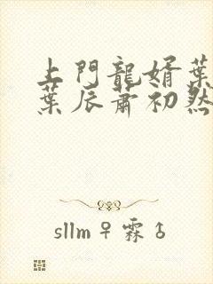 上门龙婿叶辰 叶辰萧初然