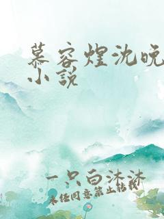 慕容煜沈晚凝的小说