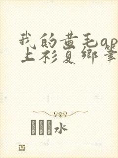 我的黄毛app上衫夏乡笔趣阁