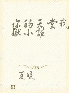 你的天堂我的地狱小说