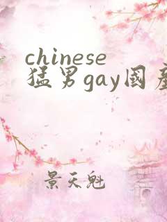 chinese猛男gay国产gv