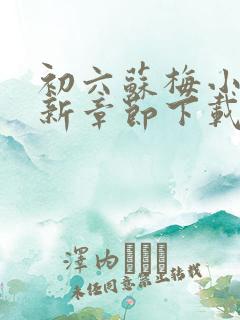 初六苏梅小说最新章节下载