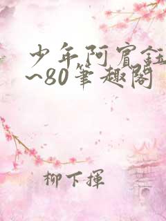 少年阿宾钰慧1~80笔趣阁